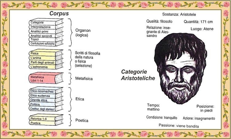 Libri e categorie