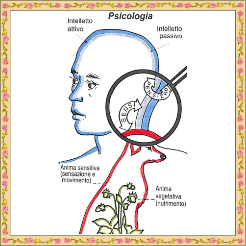 psicologia secondo Aristotele