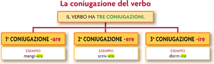 verbo