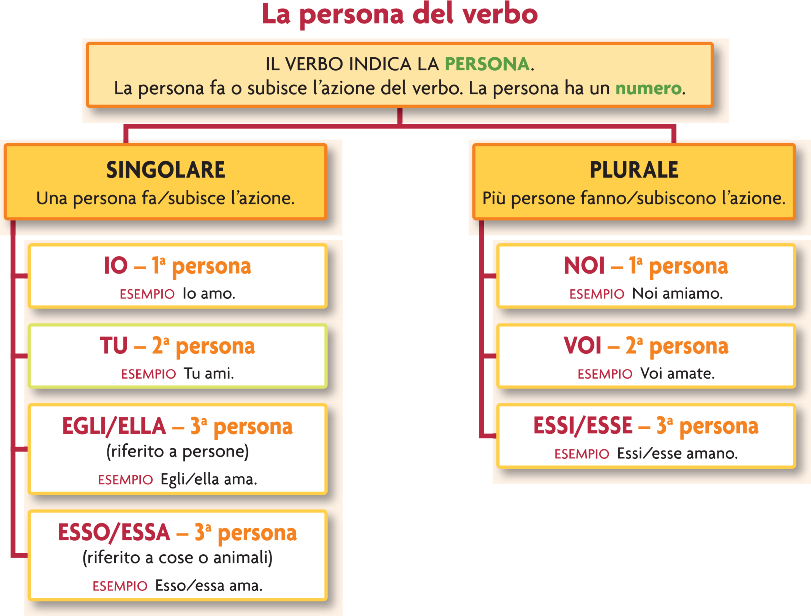 verbo