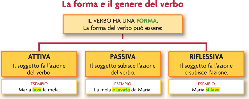 verbo