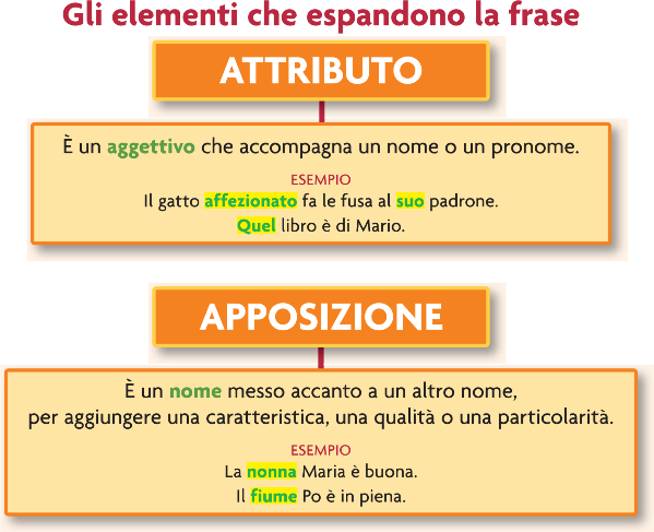 Significato di espansione in grammatica